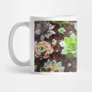 Succulent Love Mug